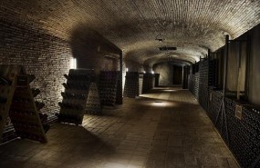 ep celler jaume codorniu
