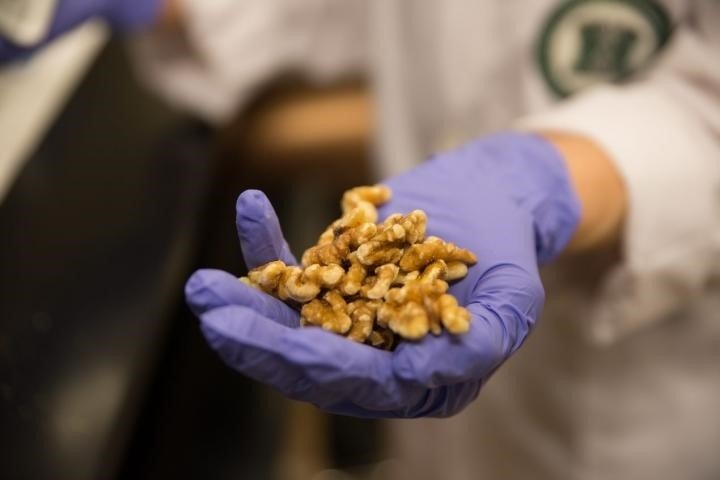 ep fepex preve una mayor produccion y calidad en la campana de nueces
