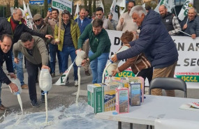 ep ganaderos tiran leche para denunciar su situacion