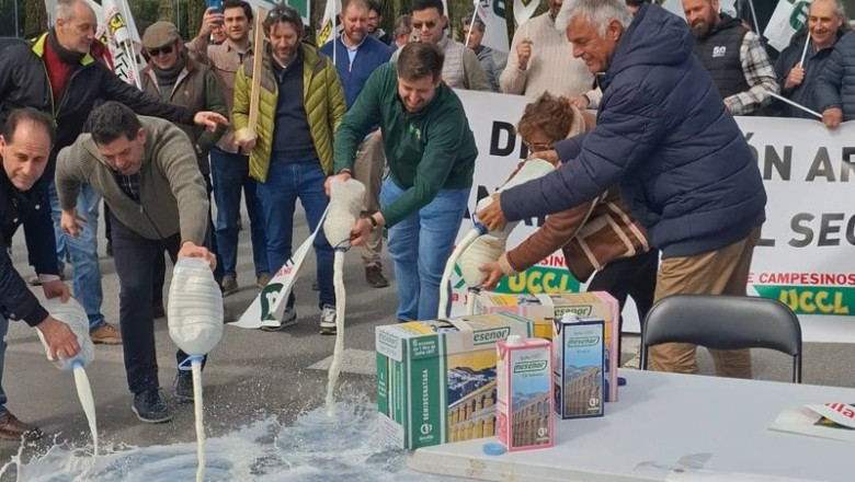ep ganaderos tiran leche para denunciar su situacion