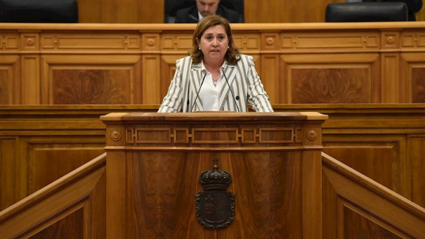 ep la consejera de educacion rosa ana rodriguez comparece en el pleno de las cortes de castilla-la