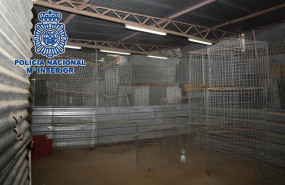 ep operacion de la policia nacional en malaga en la que fueron detenidas 21 personas por maltrato