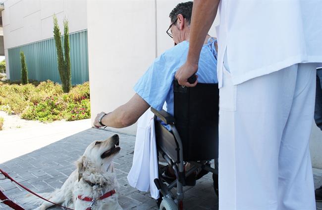 Paciente con un perro | RIBERA SALUD - Archivo ep pacienteun perro