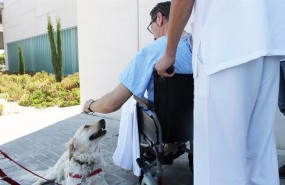 ep pacienteun perro