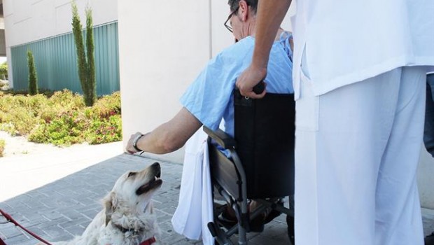 ep pacienteun perro