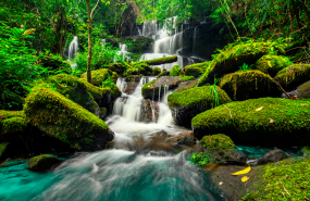 atos galardonada por quinto ao consecutivo con la medalla platino de ecovadis por su compromiso con la sostenibilidad atos galardonada por quinto ao consecutivo con la medalla platino de ecovadis por su compromiso con la sostenibilidad