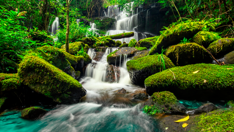atos galardonada por quinto ao consecutivo con la medalla platino de ecovadis por su compromiso con la sostenibilidad