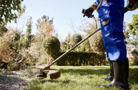 captura de pantalla 2026 02 09 a les 111346