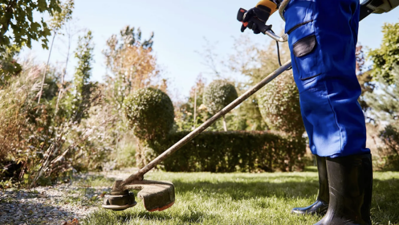 captura de pantalla 2026 02 09 a les 111346