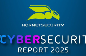 cibersecurity report 1