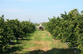ep archivo   agricultor en un campo