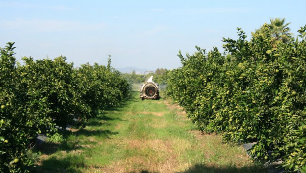 ep archivo   agricultor en un campo