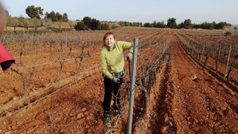 ep archivo agricultora profesional ep archivo agricultora profesional