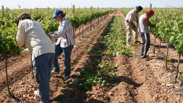 ep archivo   agricultores trabajando en el campo