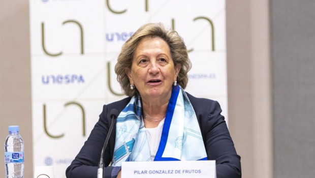 ep archivo   la presidenta de unespa pilar gonzalez de frutos en la presentacion de magnitudes del