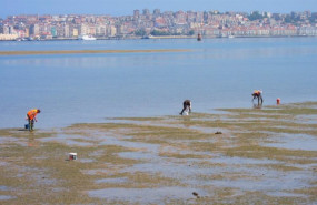 ep archivo   marisqueo mariscadores