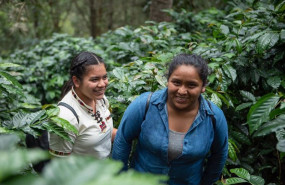 ep archivo   trabajadoras de la cooperativa de mujeres productoras de cafe en guatemala