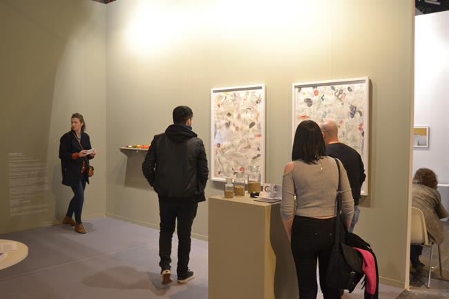 ep arco 2016