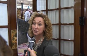 ep la diputadaerc ester capella encongresolos diputados