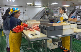 ep personal trabajando a bordo durante una edicion anterior de la campana flemish cap ieo csic