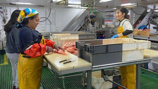 ep personal trabajando a bordo durante una edicion anterior de la campana flemish cap ieo csic