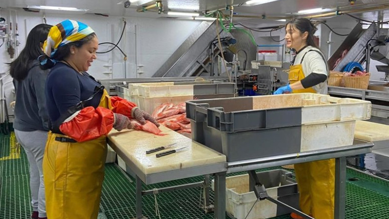 ep personal trabajando a bordo durante una edicion anterior de la campana flemish cap ieo csic