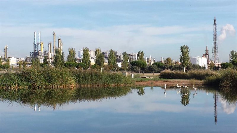 Este chicharro español quiere más tras subir más de un 50% en menos de dos meses