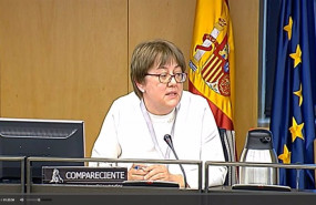 ep secretaria general de pesca alicia villauriz ha explicado en su comparecencia en la comision de