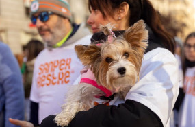 ep una mujer con su perro durante la sanperrestre 2024 a 30 de diciembre de 2024 en madrid espana la