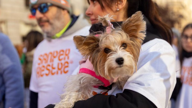 ep una mujer con su perro durante la sanperrestre 2024 a 30 de diciembre de 2024 en madrid espana la