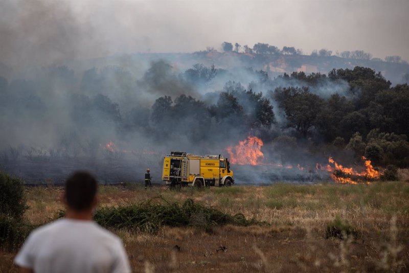 ¿Afectado por uno de los incendios que arrasan España? Esto cubre el seguro