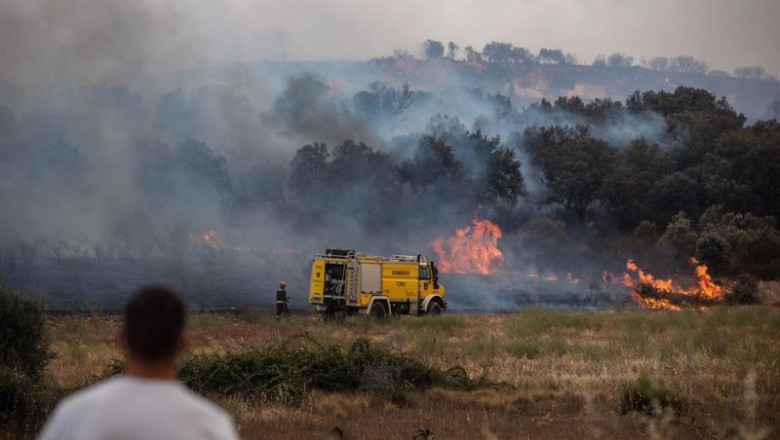 Varios bomberos trabajan en la extinción del fuego del incendio de Losacio | Emilio Fraile - Europa Press ep varios bomberos trabajan en la extincion del fuego del incendio de losacio