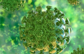 1584365805 coronavirus 1584365805 coronavirus