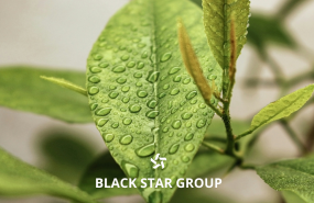 black star group lanza nuevas soluciones para maquinaria agrcola e industrial black star group lanza nuevas soluciones para maquinaria agrcola e industrial