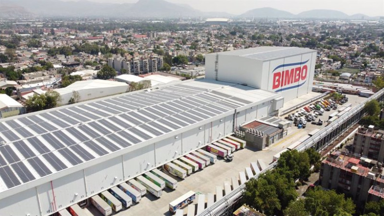 ep archivo bimbo 20250508172405 ep archivo bimbo 20250508172405