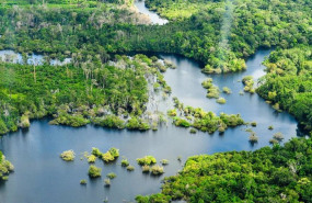 ep archivo vista aerea de la selva amazonica cerca de manaus la capital del estado brasileno de ep archivo vista aerea de la selva amazonica cerca de manaus la capital del estado brasileno de