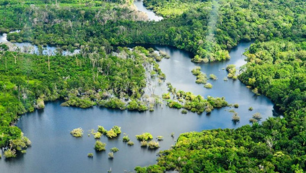 ep archivo   vista aerea de la selva amazonica cerca de manaus la capital del estado brasileno de