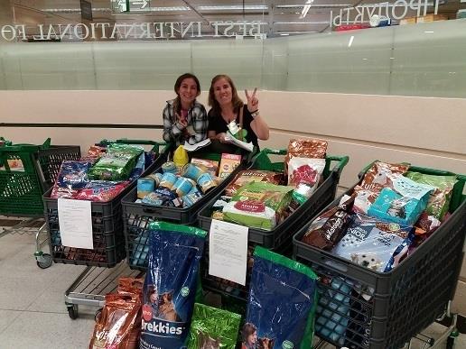 Campaña donación de pienso mascotas El Corte Inglés | EL CORTE INGLÉS ep campana donacionpienso mascotascorte ingles