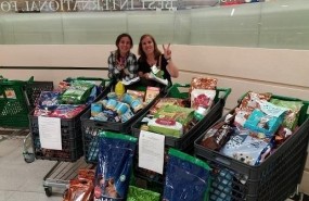 ep campana donacionpienso mascotascorte ingles