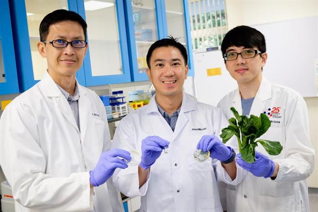 Científicos descubren que las nanofibras son más efectivas contra la grasa | NTU SINGAPORE ep cientificos descubrenlas nanofibrasefectivasla grasa