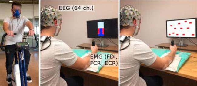 El ejercicio aumenta la eficiencia cerebral y la conectividad | UNIVERSIDAD MCGILL ep ejercicio aumentaeficiencia cerebralla conectividad
