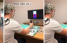 ep ejercicio aumentaeficiencia cerebralla conectividad