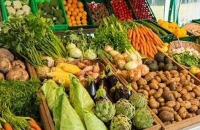 ep greenpeace pideespanavotecontraglifosato