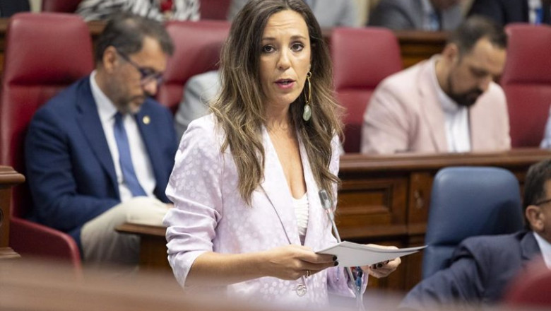 ep la consejera de turismo del gobierno de canarias jessica de leon en el parlamento de canarias ep la consejera de turismo del gobierno de canarias jessica de leon en el parlamento de canarias