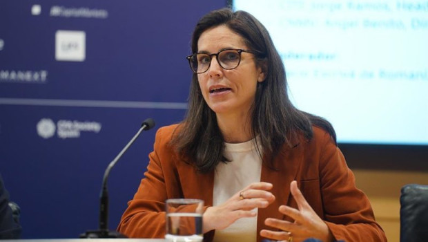 ep la consejera economica senior del banco europeo de inversiones bei paz guzman