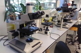 ep laboratoriohospital vall dhebronbarcelona ep laboratoriohospital vall dhebronbarcelona