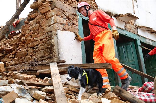 Perro de rescate | FLCKR - Archivo ep perrorescate