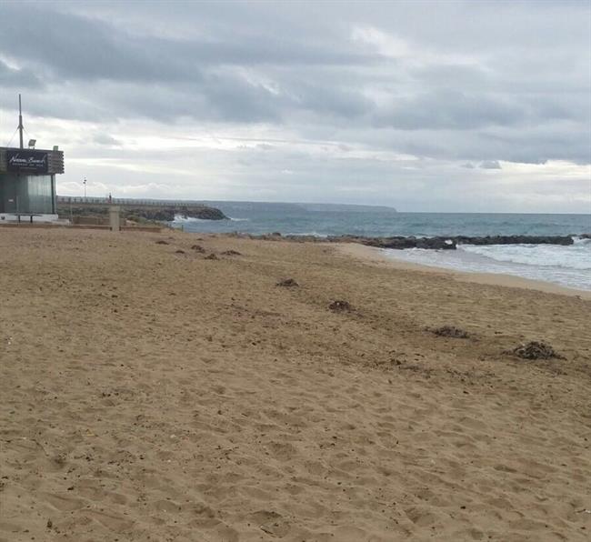 ep playa palma can pere antoni arena