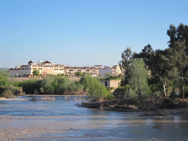 ep rio guadalquivir