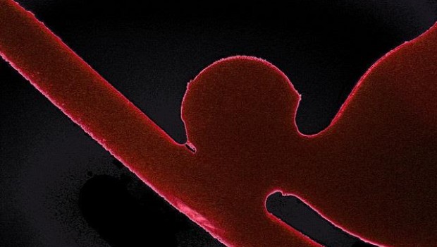 ep vena arteria sangre